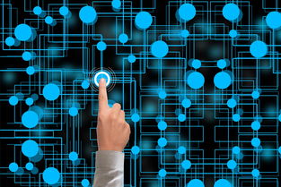 米兰官网-冬奥会遗产利用与社会价值实现研究，冬奥会遗产战略计划