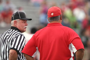 ac米兰足球队-意甲裁判语义分析辅助判罚准确性的应用探讨，意甲 裁判