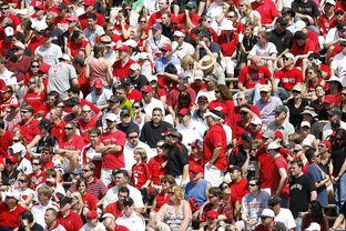 MILAN SPORTS中国站-高校体育赛事观众体验提升策略研究，体育赛事审美体验