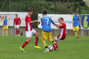 米兰体育官网-PSG球迷对未来充满期待与担忧，psg-esports